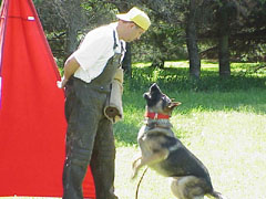 Southern States Manhunt Field Trials Sponsored by Arkansas Dept of Corrections and Arkansas National Guard