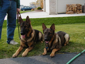 October 24, 2003-Northern Illinois SchH Club-IL