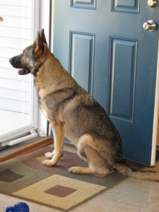 October 25, 2008-Northern Ill SchH Club-IL