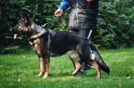 May 12-14 2000-Texas