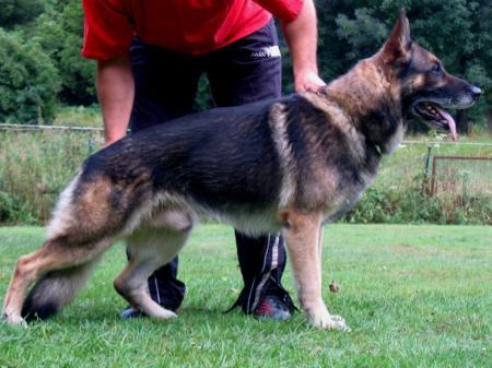 September 22, 2013-OG landheim Police and Working Dog Assoc-IN