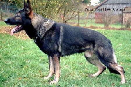 September 16, 2007-Alaska SchH Club-AK