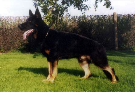 October 15, 2006-N. IL SchH Club-IL