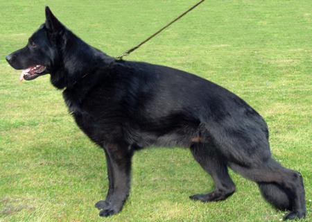 July 18, 2015-OG Edgerton