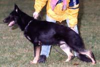 December 15, 2006-NW Obedience Club-IL