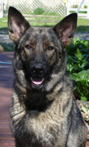 September 25, 2005-Fox Valley Dog Training Club-IL