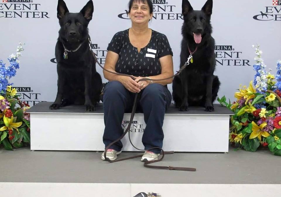 May 11/12, 2013-Lyons Township Dog Training Club-IL