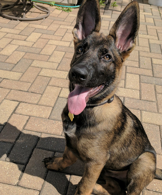 April 13, 2014-Tatum Training-IN