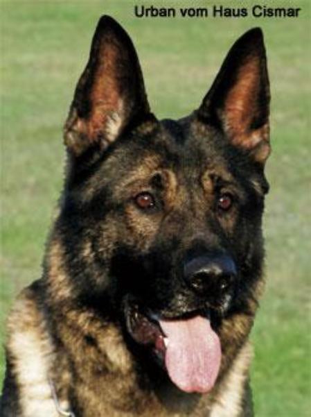 June 27, 2009 -Burr Oak Club-IL