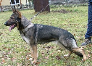 March 25, 2000-Mid Rivers SchH Club-Missouri