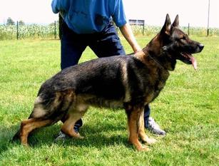 May 26, 2001-Snohomish SchH Club-WA