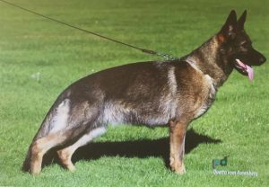 October 27-31 2010-DVG America National Championship -AR