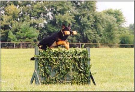 December 5, 1998- Spirit of St. Louis SchH Club