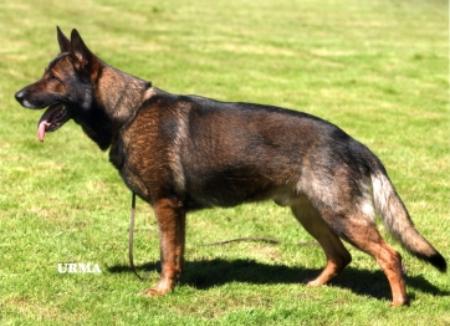 September 19, 2004-O.G. Bierstadt-WI