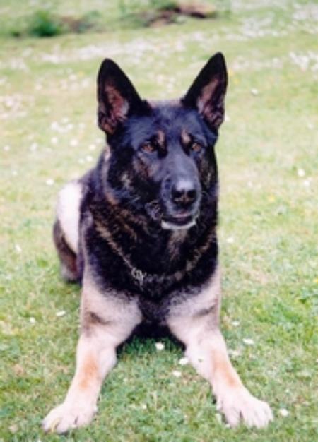 February 28, 2004-IL