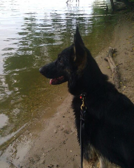 April 10-11, 2004-Rivanna SchH and Polic Club-VA