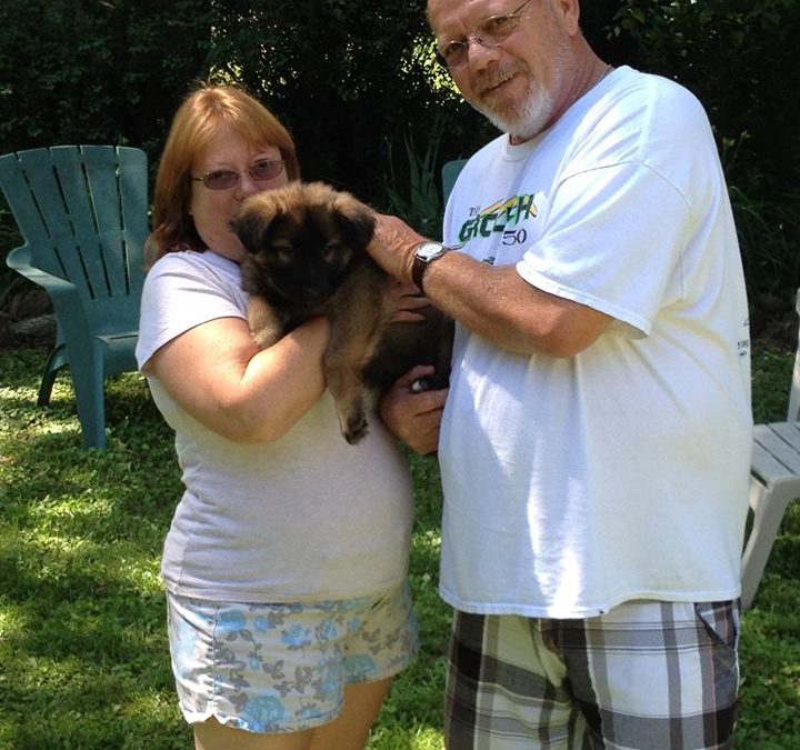 June 9 , 2013-Lincolnwood Dog Training Club-IL