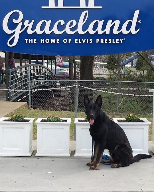 September 10,2005-O.G. Inselstadt SchH Club-WI