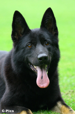 November 18, 2000-North Coast SchH Club-Ohio