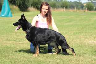 June 26, 2004-Northern Illinois Dog Training Club