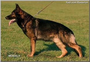 September 18, 2010-Chicago SchH Verein-IL