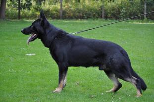 December 18-21, 2009 -Rosemont IL