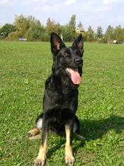 November 15, 2009-OG Edgerton SchH Club-WI