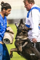 High SchH1 & High Obedience with 90-96-88- August 25, 2002 El Cajon SchH Club-CA