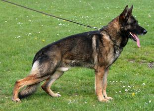 September 12-13, 1998, hosted by O.G. Bierstadt