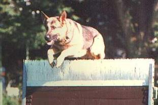 November 1-3 2002-Alabama