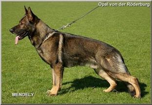 November 2012-GSDCA test