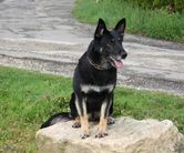 April 15-18, 2004-Atlanta, GA