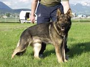 November 30, 2013-Danville KC-VA