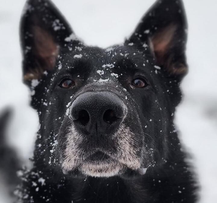 July 18, 2009 -Alaska ScH Club-AK