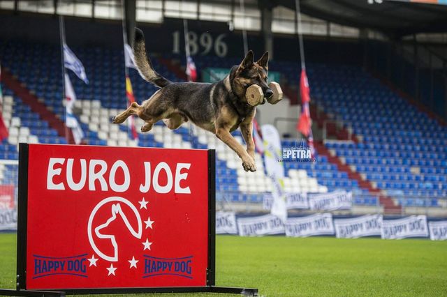 April 26, 2014-Rand Park Dog Training Club-IL